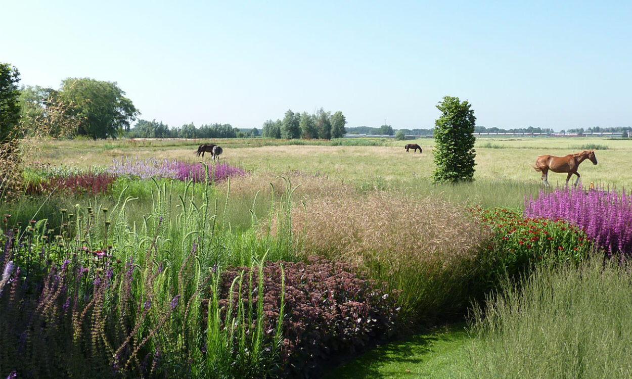 Kleurrijke borders en grassen 6