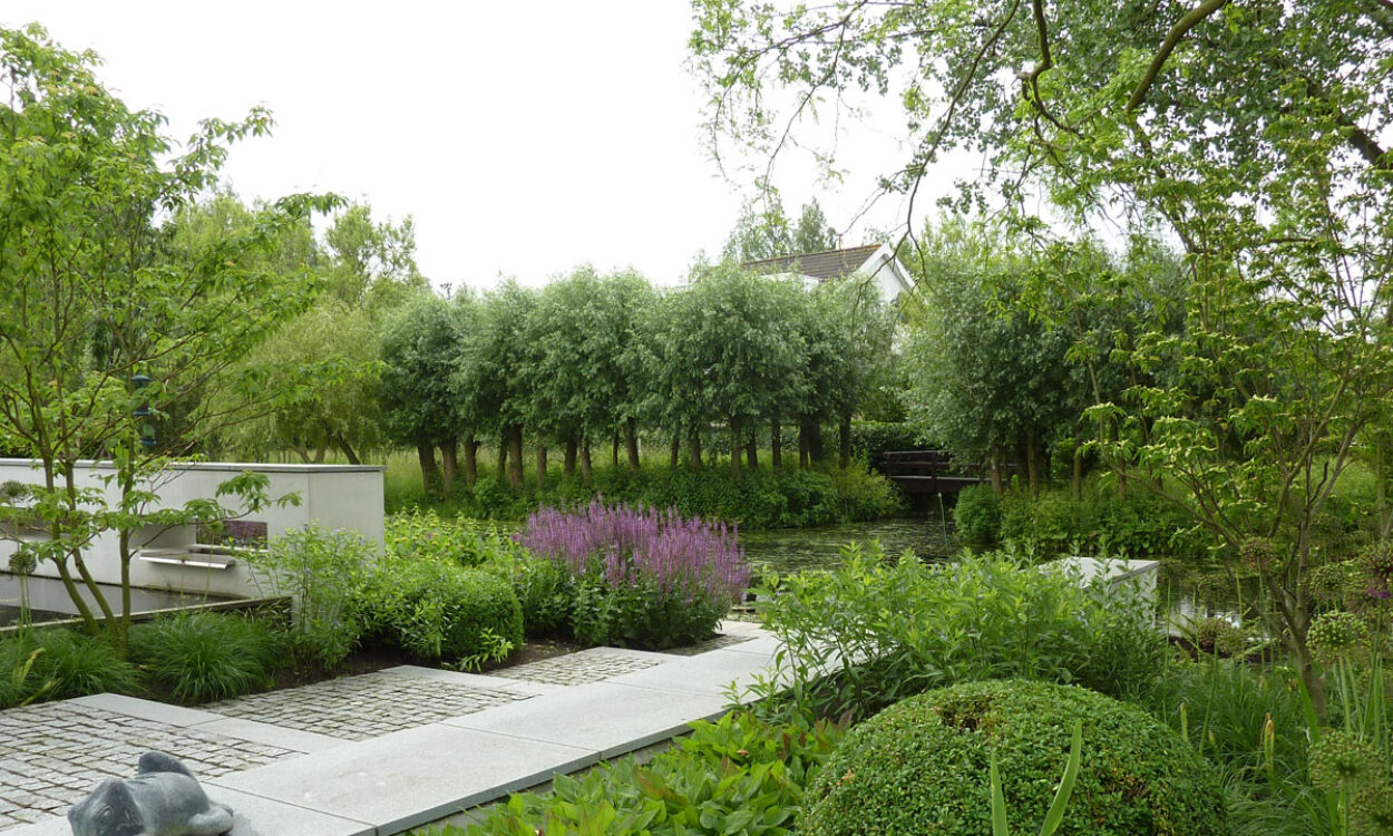 Tuin bij moderne villa 2